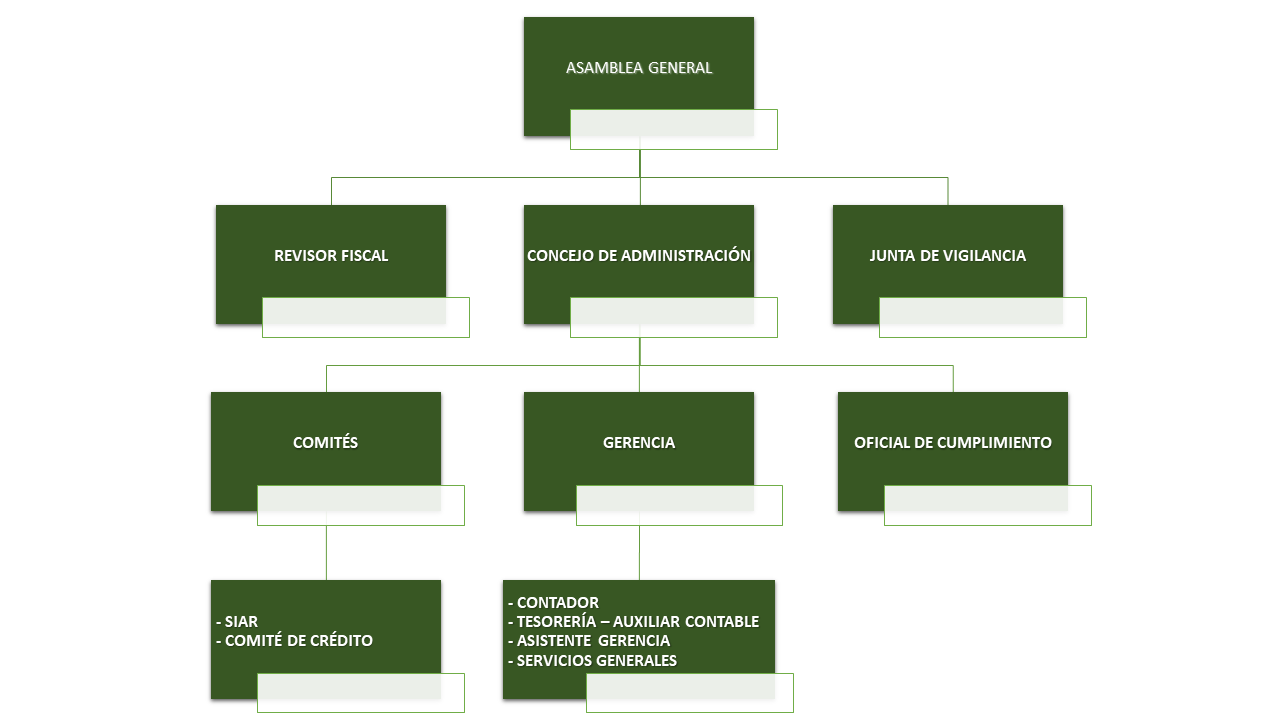 Organigrama institucional