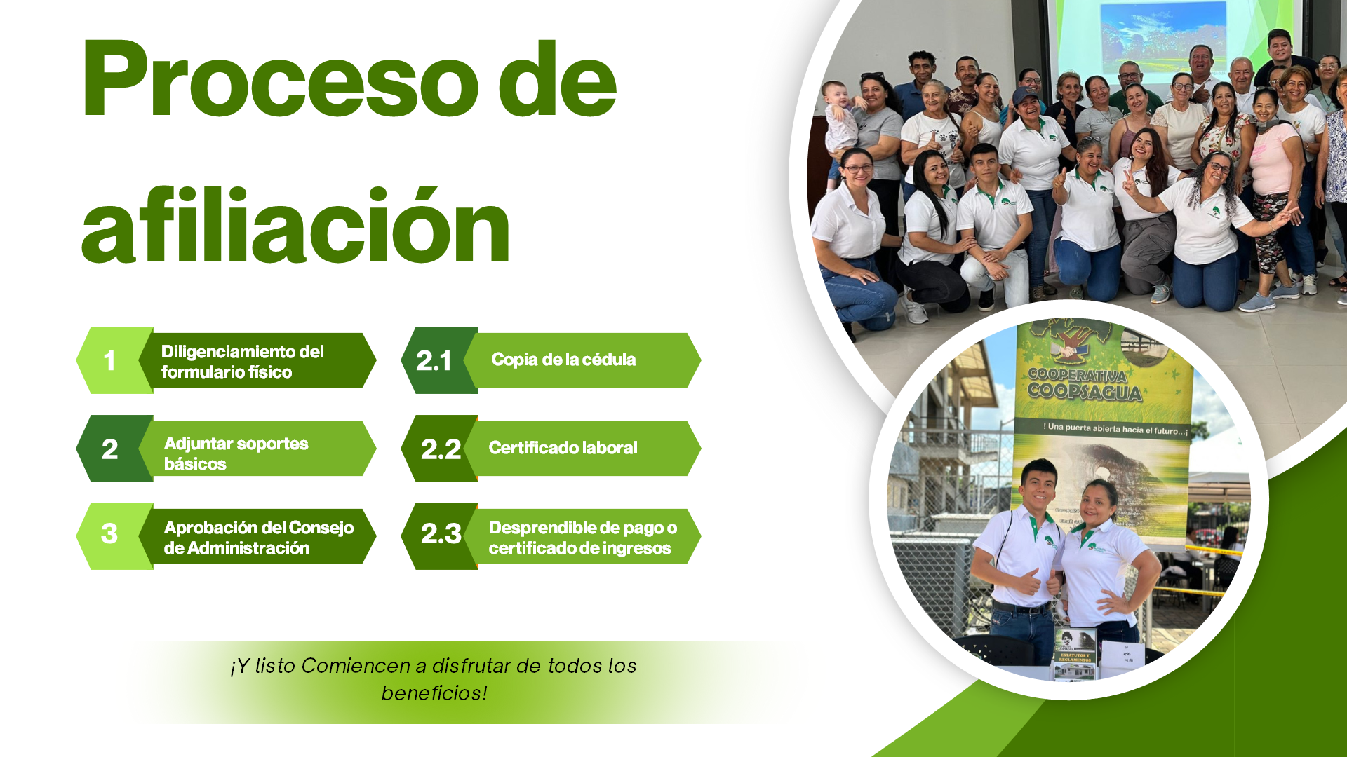 Descripción de la imagen